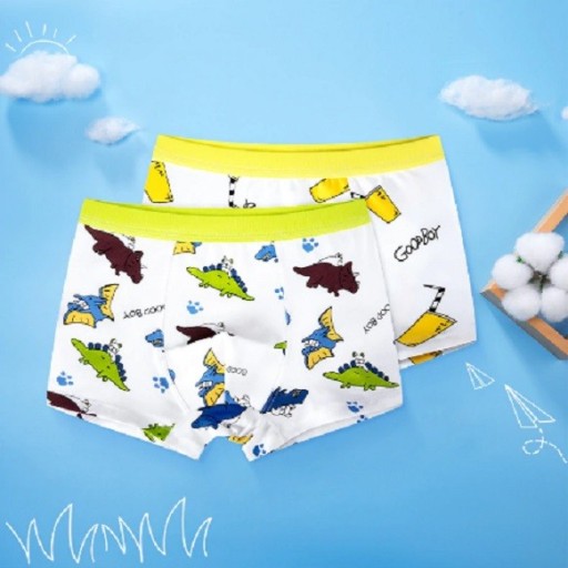 Jungen-Boxershorts – 2 Stück A2735