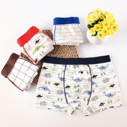 Jungen-Boxershorts mit Dinosauriern