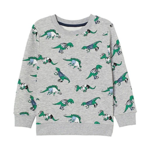 Jungen-Sweatshirt L577