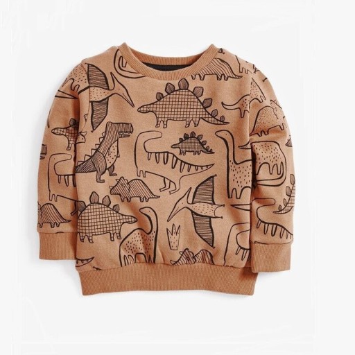 Jungen-Sweatshirt L586
