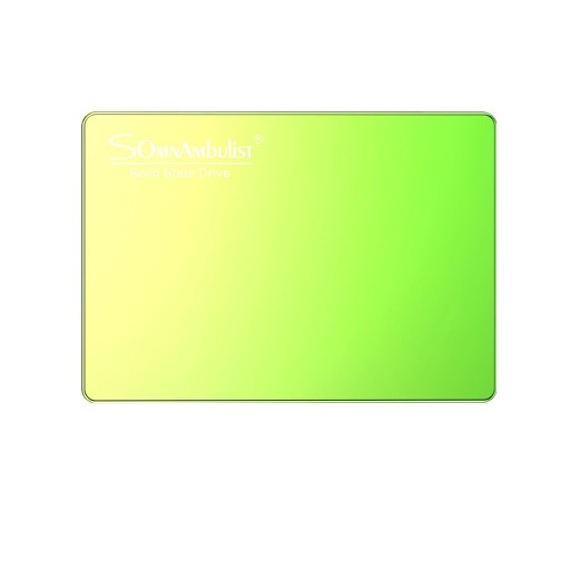 K2333 SSD-harddisk