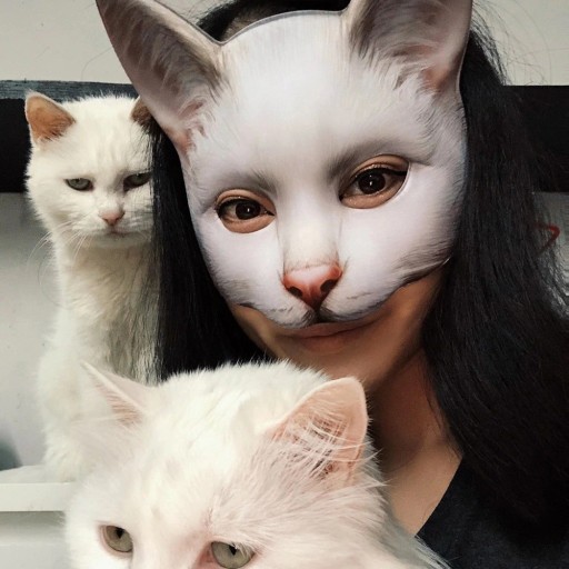 Kattemaske