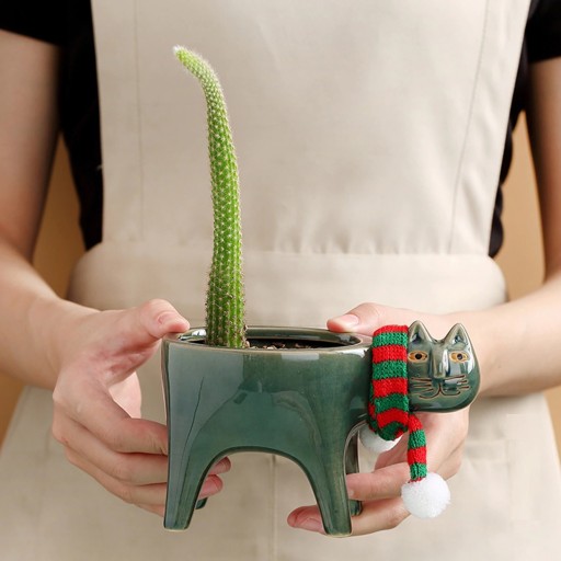 Keramisk kattblomkruka
