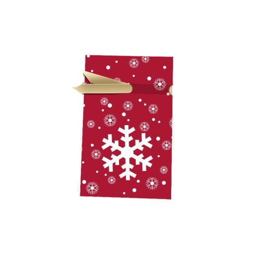 Kerstcadeautas 23 x 15 cm 10 stuks T1161