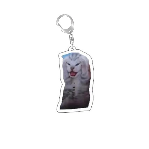 Keyring 55 mm Resin Funny Meme Cat Keychain Backpack Handbag Key Decoration Stylish Gift for Cat Lovers