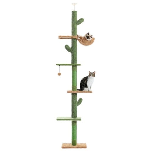 Kissapuu 229–275 cm, viisikerroksinen torni lattiasta kattoon, kaktusraapija, riippumatto, roikkuvat pallot, kiipeilykokonaisuus