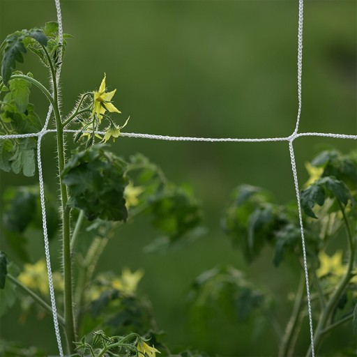 Klimplantennet