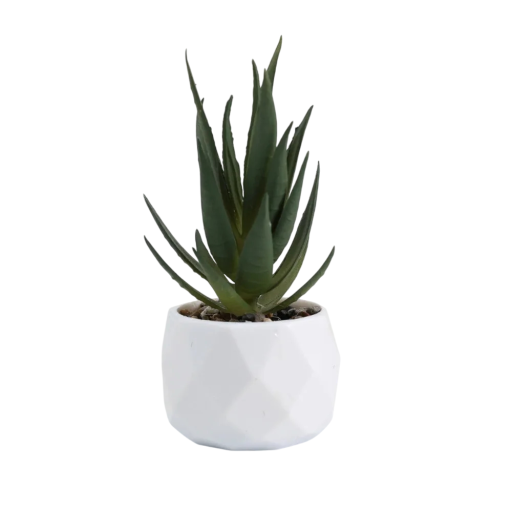 Konstgjorda suckulenta blommor 14 x 6,5 cm Mini falska kaktusar i en plastkruka Dekorativa konstgjorda växter för lägenheten och kontoret