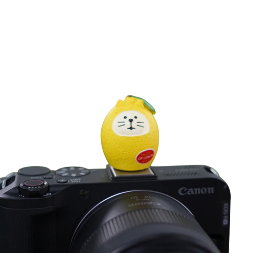 Krytka blesku fotoaparátu Univerzální patice Dekorativní ochrana motiv kočka v citronu pro Sony Nikon Canon Fuji Pentax Leica Olympus