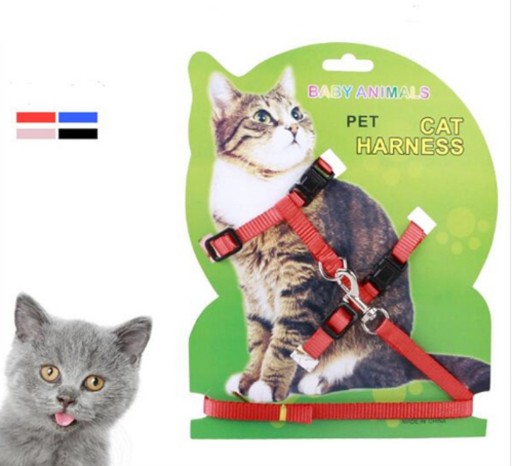 Kšíry ajustáveis para gatos