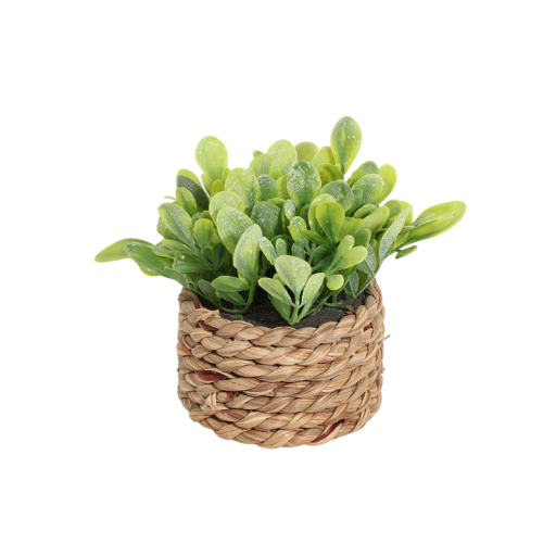 Kunstig plante i potte 11x7,5 cm Dekorativ grøn plante med blade i en fletpakke til kontoret på bordet i stuen.