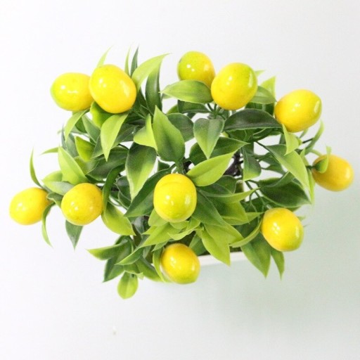 Kunstigt frugttræ