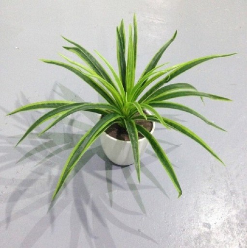 Kunstplant Groen