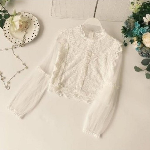 Ladies' Blouse with Sheer Sleeves