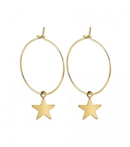 Ladies' Earrings G326