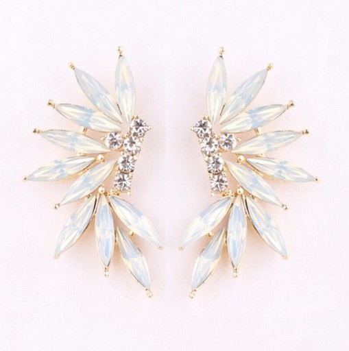 Ladies' Framed Earrings with Stones H809