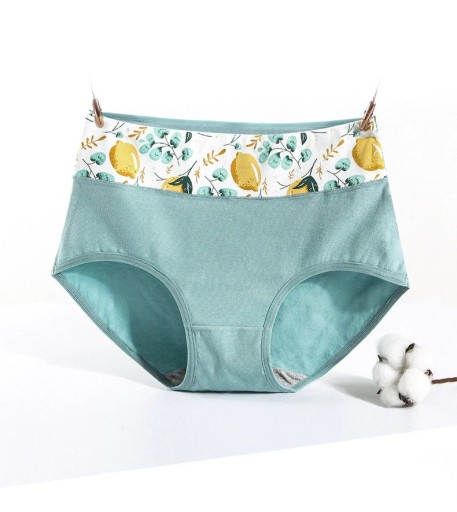 Ladies High-Waisted Briefs