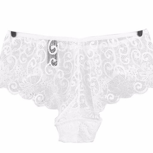 Ladies' Lace Briefs A700