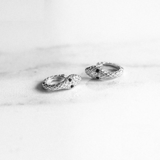 Ladies' Snake Earrings