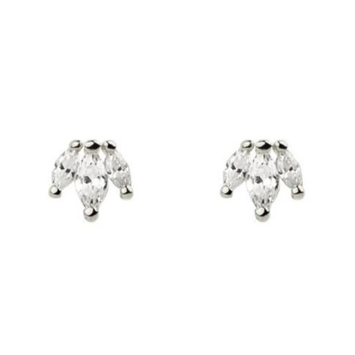 Ladies' Stud Earrings A1684