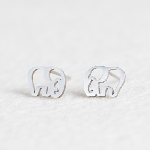 Ladies' Stud Earrings H830