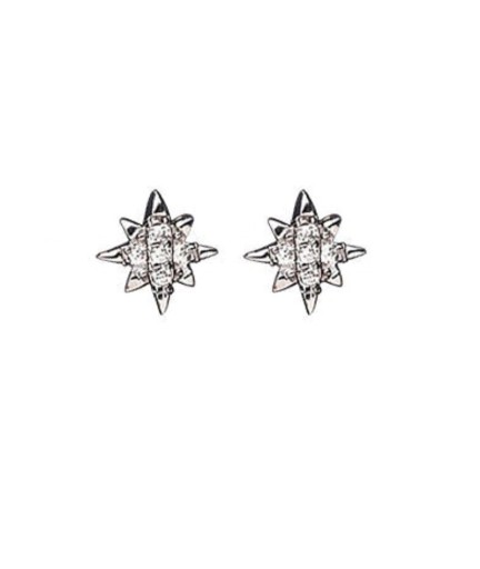 Ladies' Stud Earrings with Zirconia G875