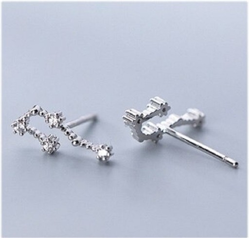 Ladies' Zodiac Sign Earrings