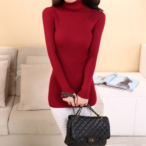 Lång elastisk turtleneck för kvinnor
