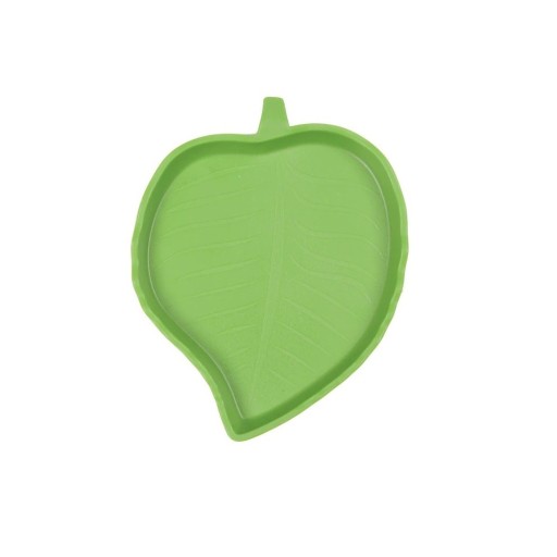 Leaf-Shaped Terrarium Bowl