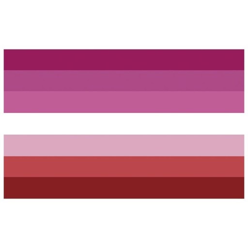 Lesbisk Pride-flag 90 x 150 cm