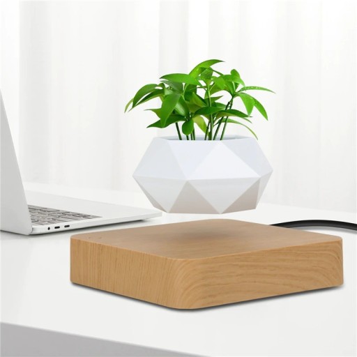 Levitant Pot de Fleurs