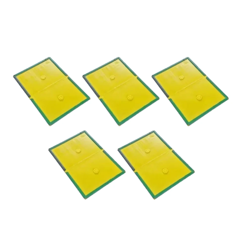 Lijmplaat voor muizen en ratten 24 x 17 cm Sterke vangnet voor knaagdieren Veilige vanglijmplaten 5 stuks Effectieve bescherming tegen ongedierte