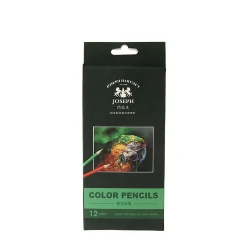 Lot de 12 crayons de couleur à l’huile en bois pour le dessin et l’esquisse Fournitures d’art pour les travaux artistiques scolaires et les techniques de peinture