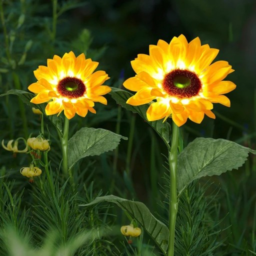 Lumină de grădină cu floarea soarelui