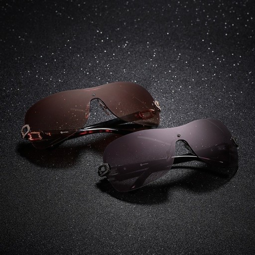 Lunettes de soleil pour femmes E1557