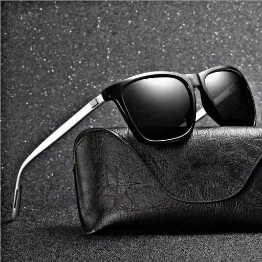 Lunettes de soleil pour hommes E1924