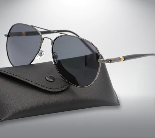 Lunettes de soleil pour hommes E1954