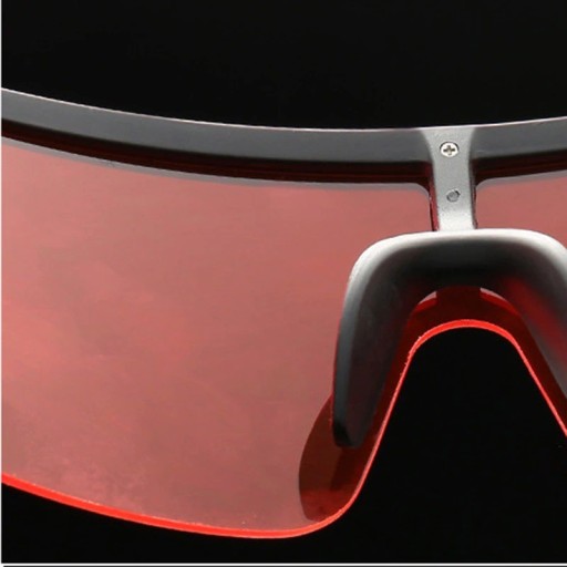 Lunettes de soleil pour hommes E1971