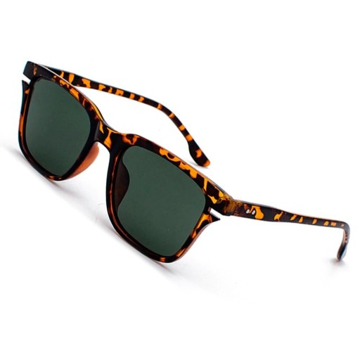 Lunettes de soleil pour hommes E2004