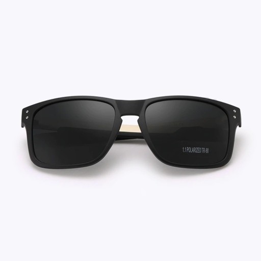 Lunettes de soleil pour hommes E2025