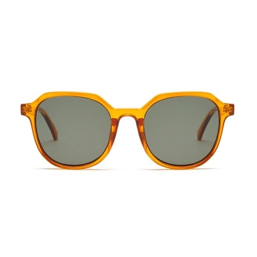 Lunettes de soleil pour hommes E2040