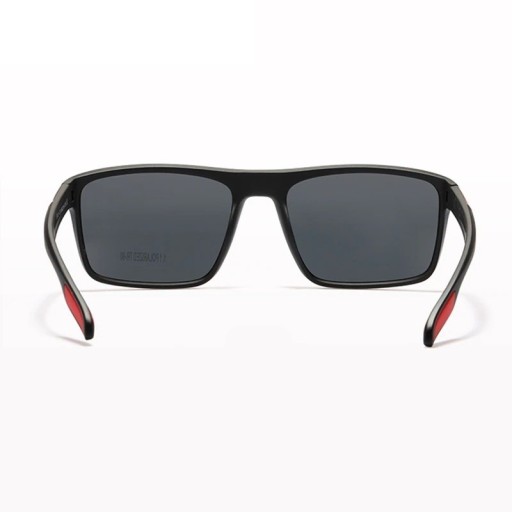 Lunettes de soleil pour hommes E2046