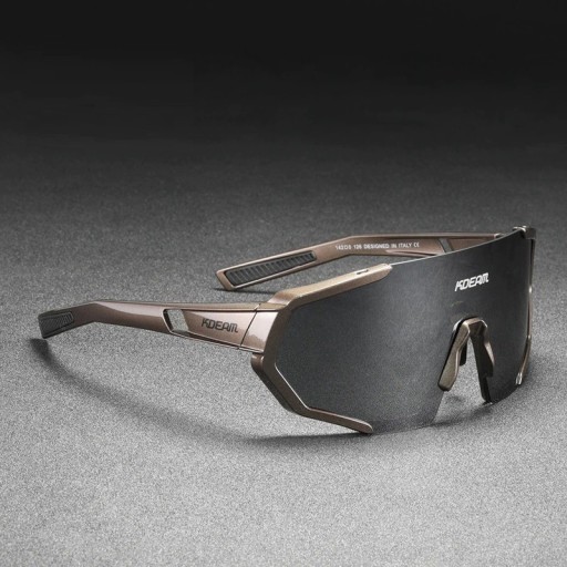 Lunettes de soleil pour hommes E2055