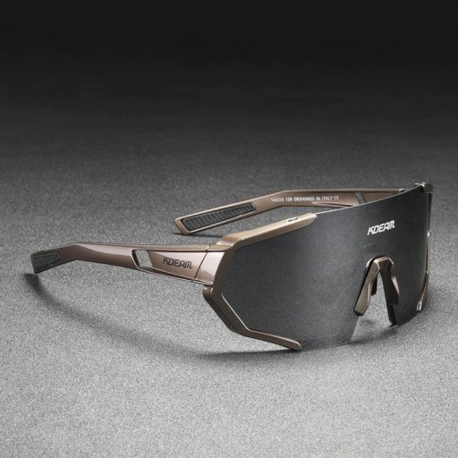 Lunettes de soleil pour hommes E2124