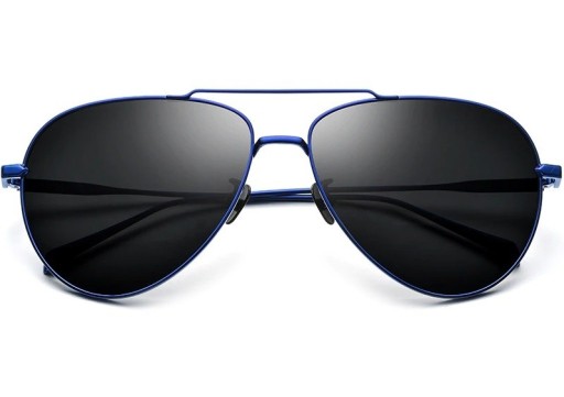 Lunettes de soleil pour hommes E2146