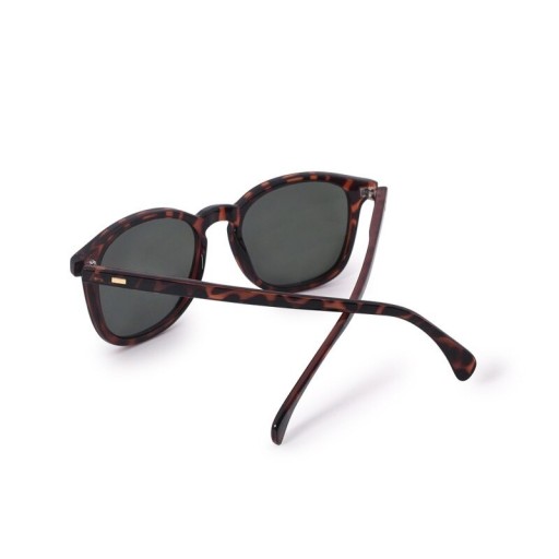 Lunettes de soleil pour hommes E2211