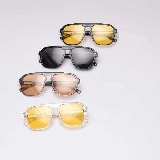Lunettes de soleil pour hommes E2212