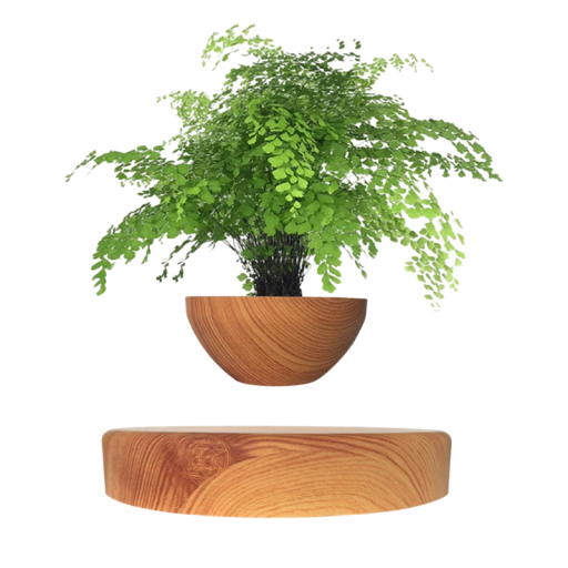 Magnetischer schwebender Blumentopf mit Holzdesign 14,5 x 3 cm für Bonsai braun schwebende Tischdekoration für Wohnung Büro