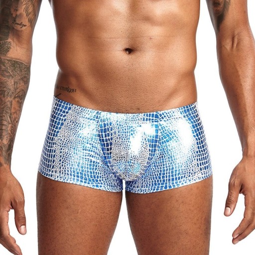 Maillots de bain brillants pour hommes