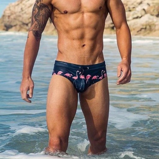 Maillots de bain pour hommes avec flamants roses